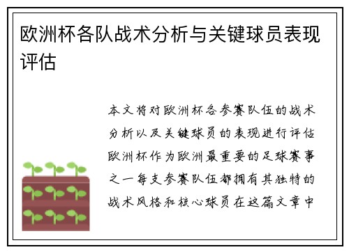 欧洲杯各队战术分析与关键球员表现评估